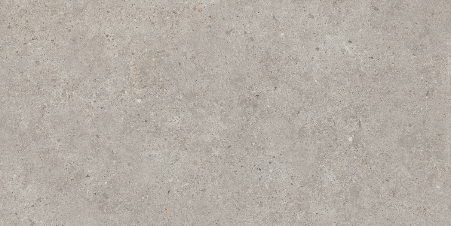 Керамический гранит Kerama Marazzi Риккарди SG519920R серый светлый матовый обрезной 60х119,5