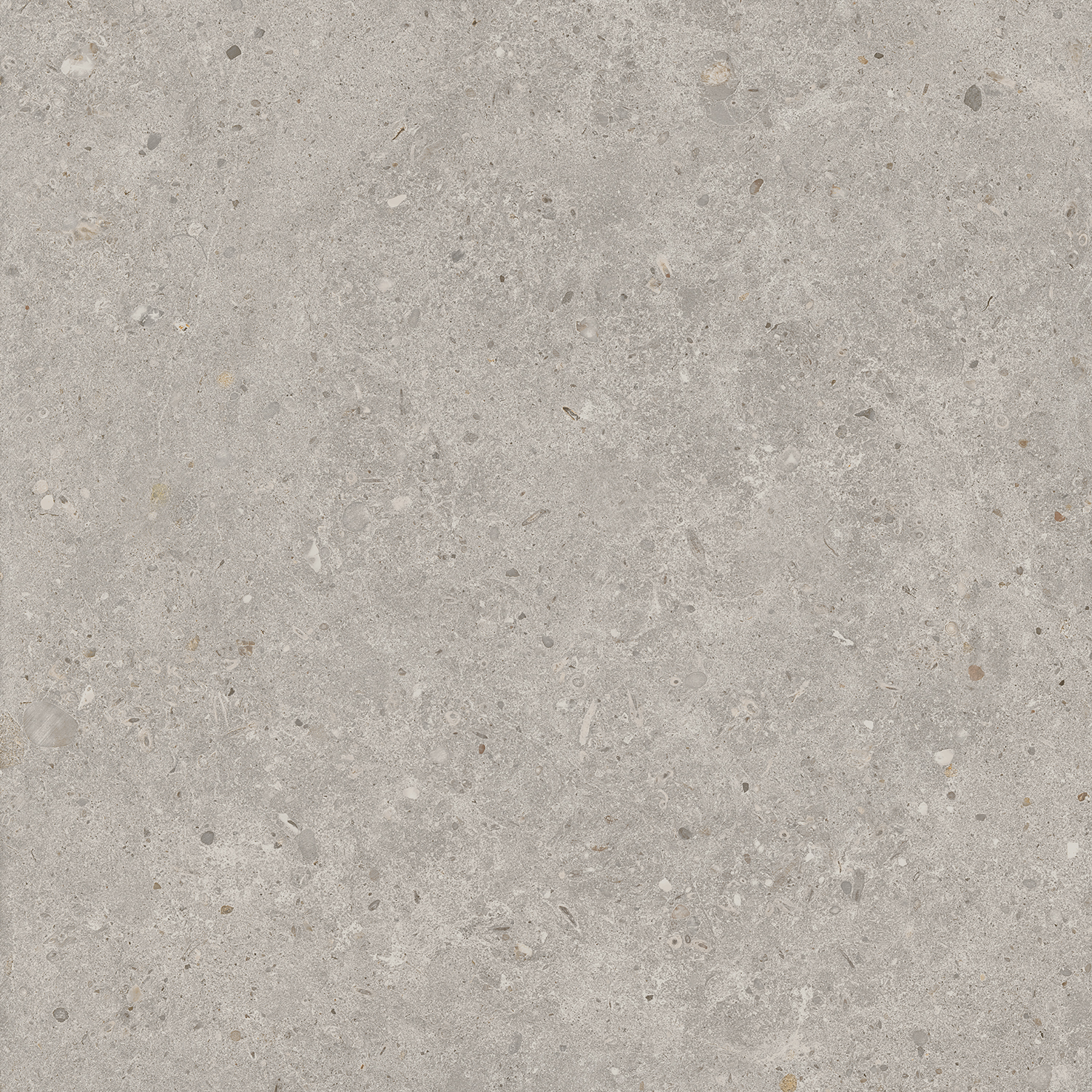 Керамический гранит Kerama Marazzi Риккарди SG653720R серый светлый матовый обрезной 60х60